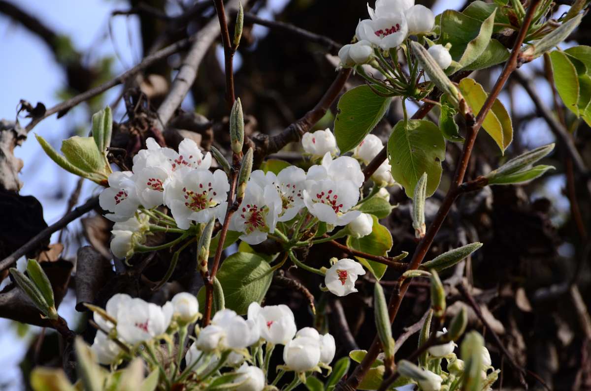 2014-03-31 09-03-32.JPG